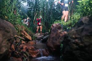 BIB: 
                            <button type="button" onclick="openModal(26419650)" class="btn btn-primary btn-sm float-right btn-popup" data-toggle="modal" data-target=".modal-high-quality">
                        <i class="fas fa-shopping-cart"></i> Add to Cart
                    </button>
                                            <button type="button" onclick="isThisMe(26419650, true)" class="btn btn-success btn-sm float-right btn-popup btn-isme hidden" data-toggle="tooltip" data-placement="bottom" title="นี่คือรูปของคุณใช่ไหม คลิกที่นี่เพื่อเอาเข้าอัลบั้ม">
                        <i class="fas fa-plus"></i> Add to album
                    </button>
                    <button type="button" onclick="isThisMe(26419650, false)" class="btn btn-warning btn-sm float-right btn-popup btn-isnotme hidden">
                        <i class="fas fa-ban"></i> Remove from album
                    </button>